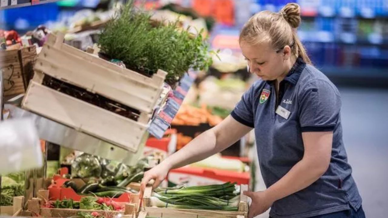Comienza tu carrera en Lidl: Guía de empleos en tienda